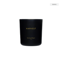 Harvest | 100% Soy Wax Candle