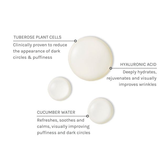 Evolve Bright Eyes Cracker