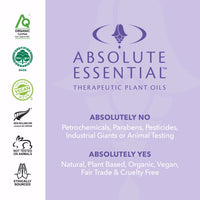 Absolute Essential - Brain Power Essential Oil Blend