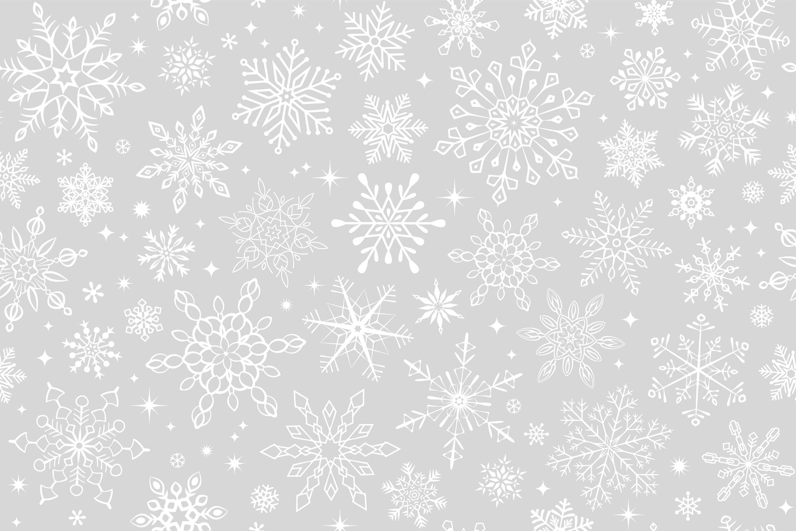 All The Highlights From Mooi’s 2020 Christmas Parties