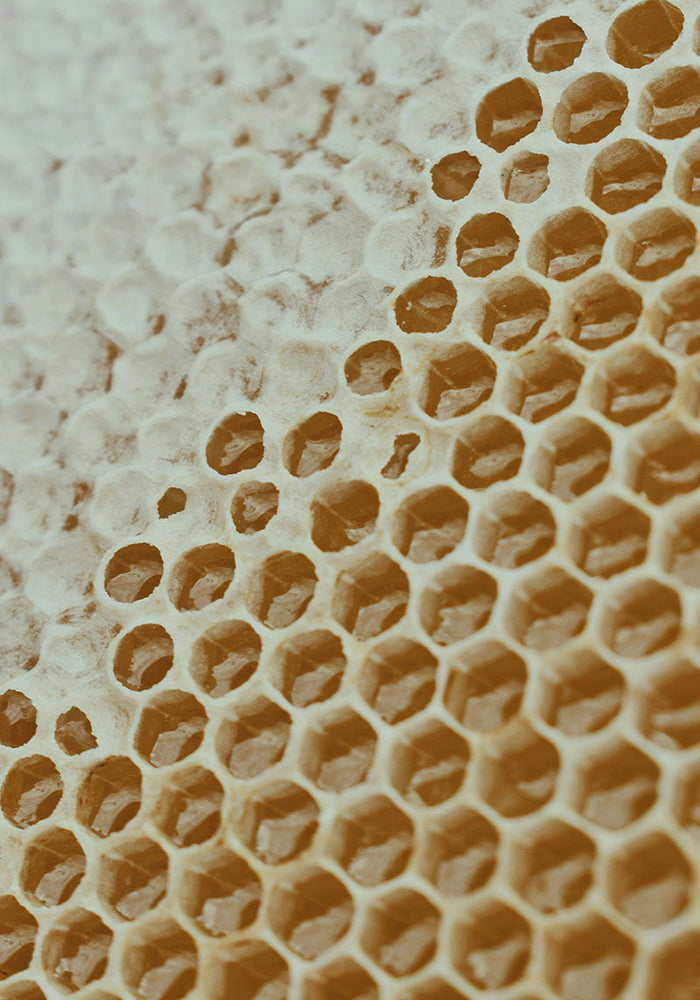 Acne, Breakouts & Congestion